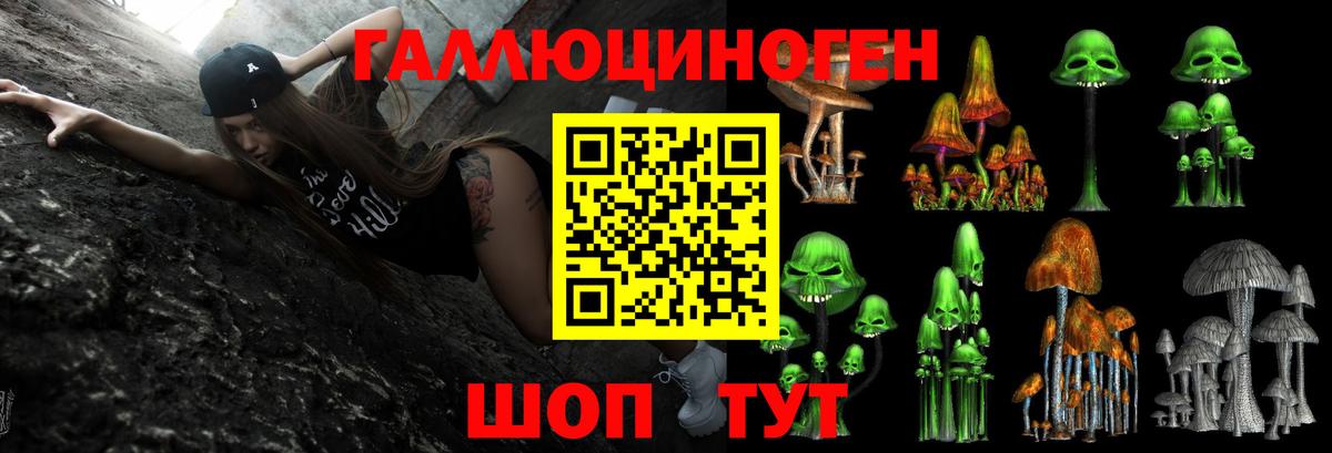 как найти   Псилоцибиновые грибы Psilocybe  Белогорск  Вход с VPN  Псилоцибиновые грибы MAGIC MUSHROOMS 